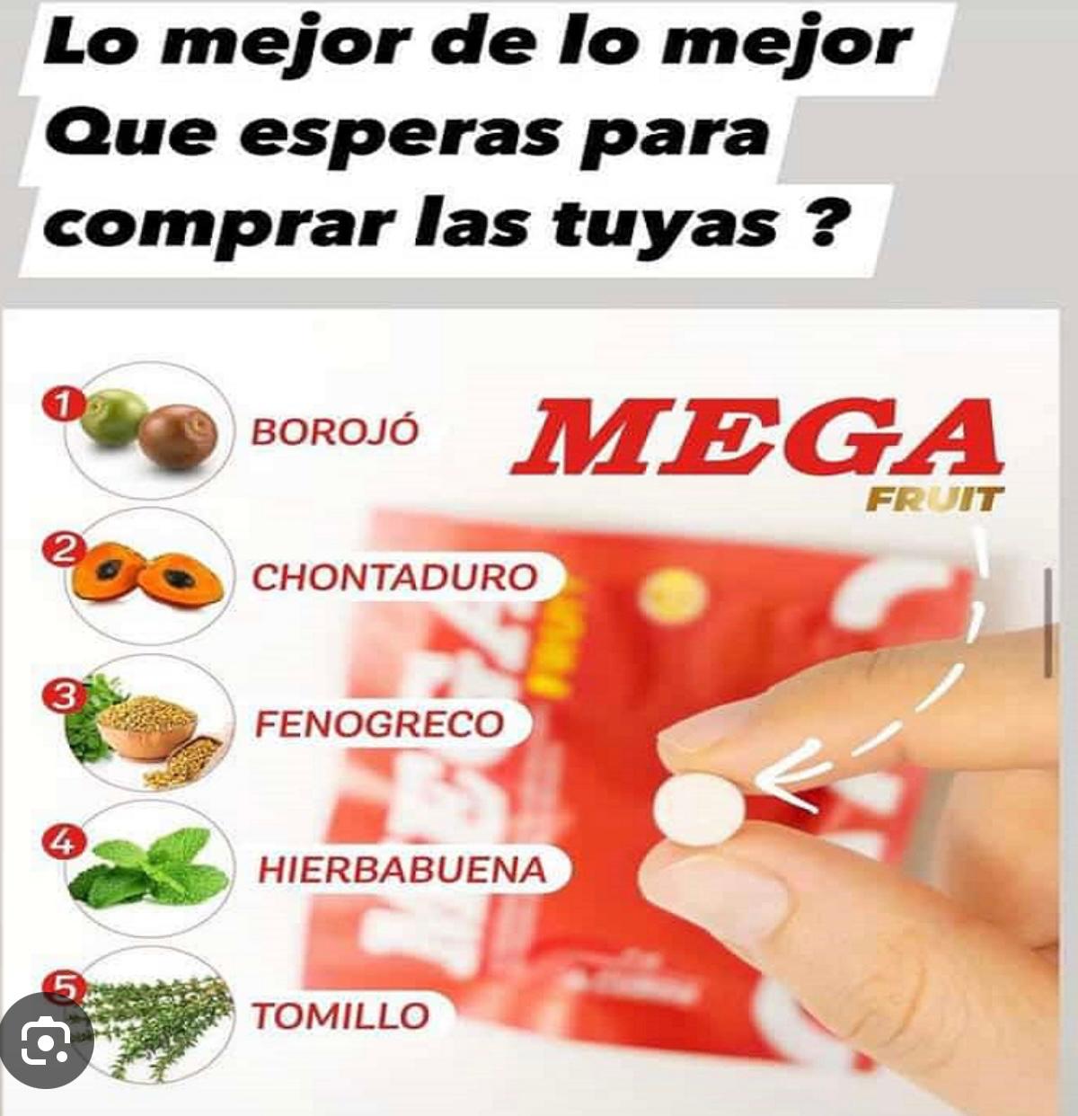 Mega Fruit x4 Pastillas